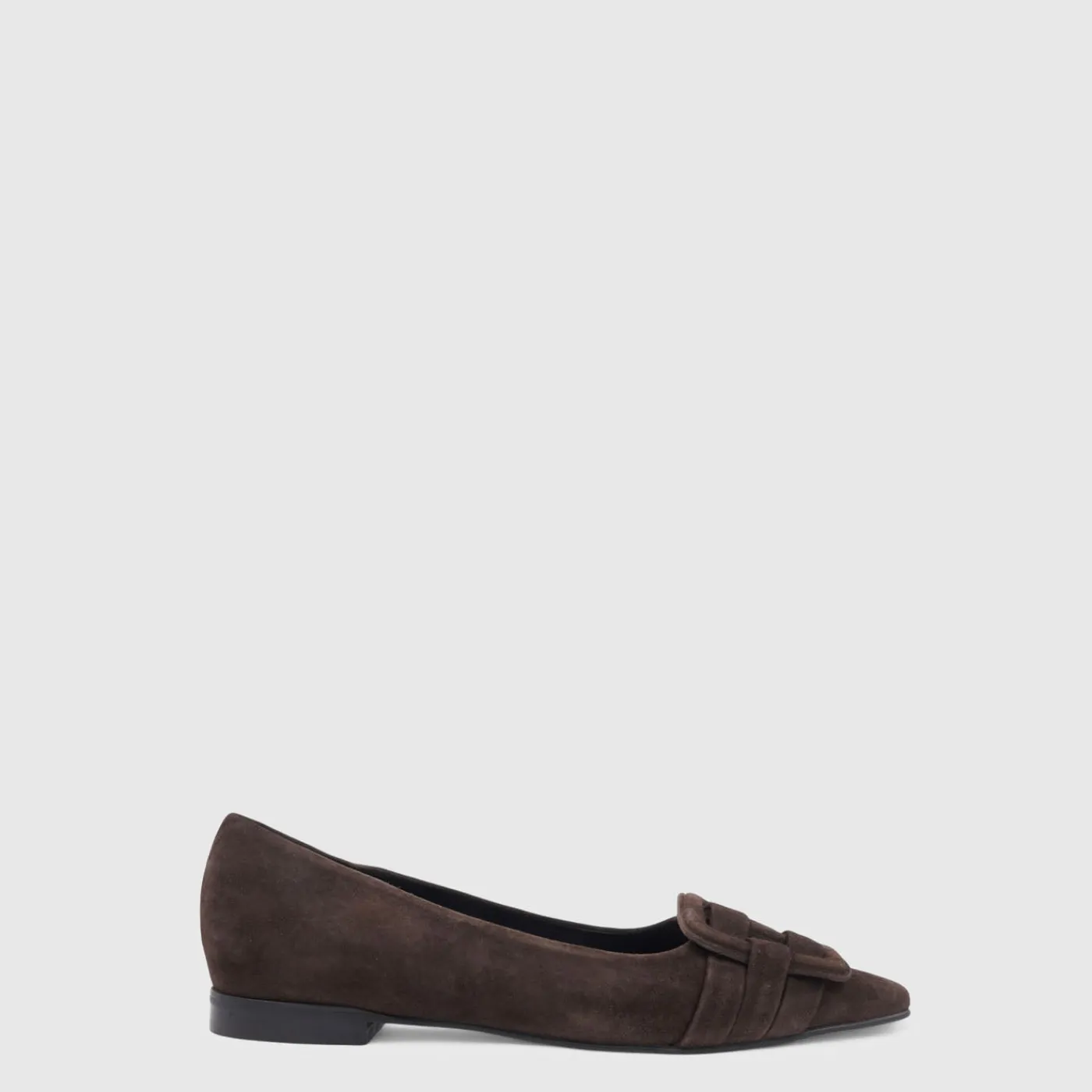 Flats*Aquatalia Jojo Espresso suede
